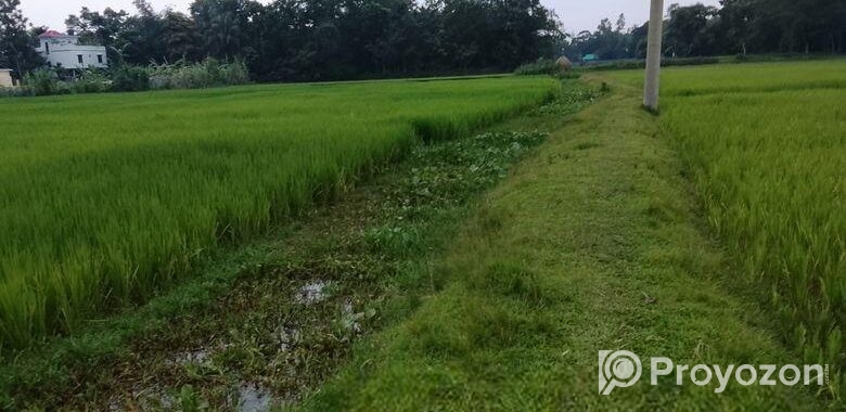 জমি বিক্রয়