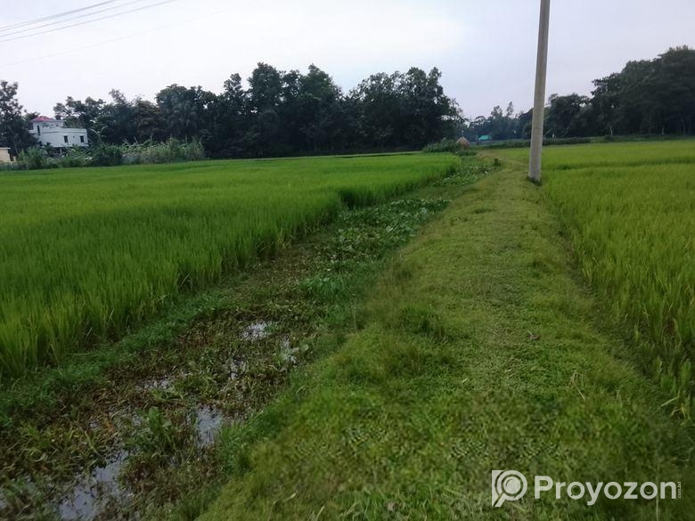 জমি বিক্রয়