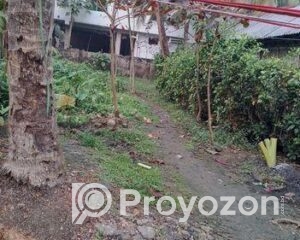 fitted-21_2025-10-29_10-28-42