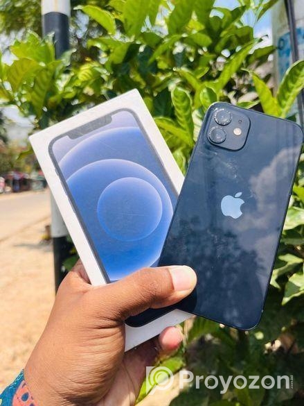 Apple iPhone 12 (Used)