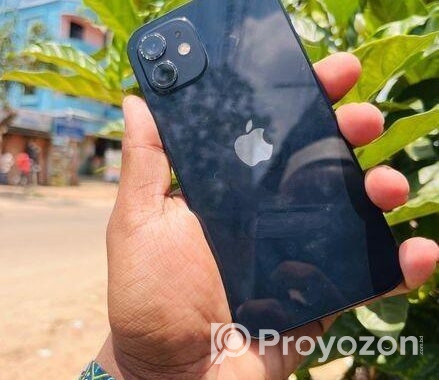 Apple iPhone 12 (Used)