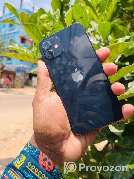 Apple iPhone 12 (Used)