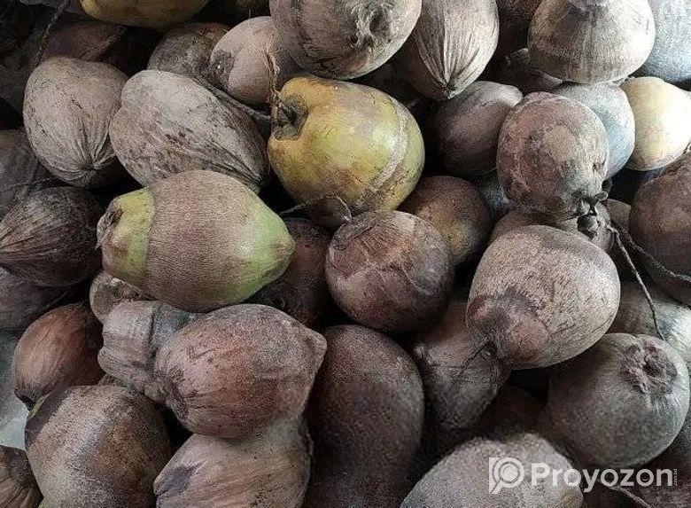 নারিকেল