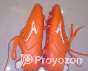 fitted-22_2025-10-30_10-46-13