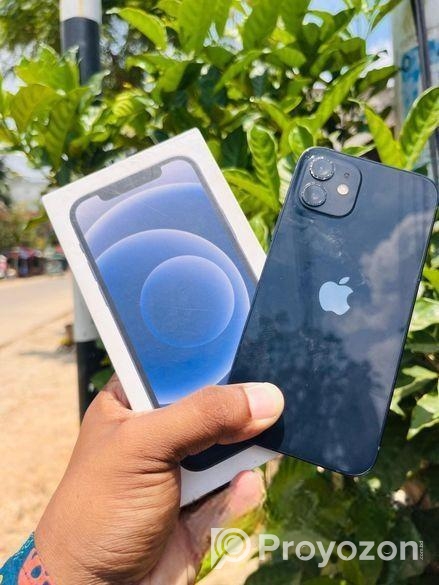 Apple iPhone 12 (Used)