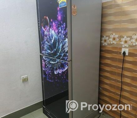Vision Refrigerator