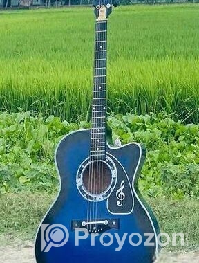 Guitar For Sell