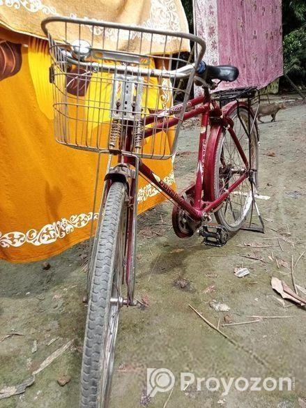 Bicycle For Sell