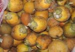 সুপারি প্রতি পিছ ৪ টাকা