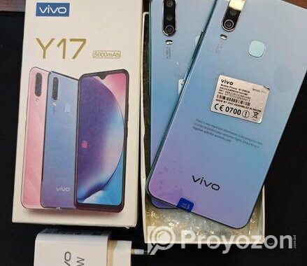 Vivo Y17 8/256 (New)