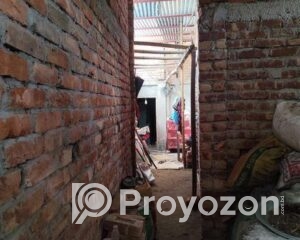 fitted-24_2025-10-29_10-20-36