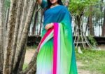 Shari fabric – pure georgette