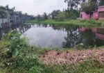 Land For Sell