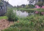 Land For Sell