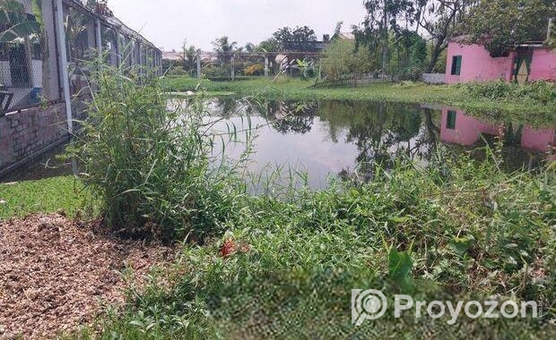 Land For Sell
