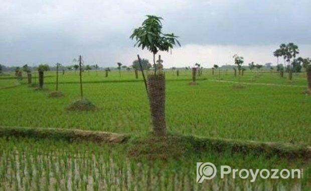 Land Selling
