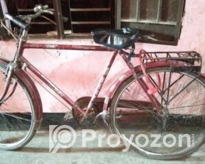 fitted-26_2025-10-29_10-24-45