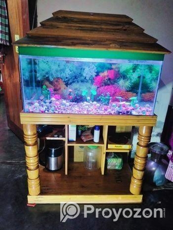 একুরিয়াম বিক্রি