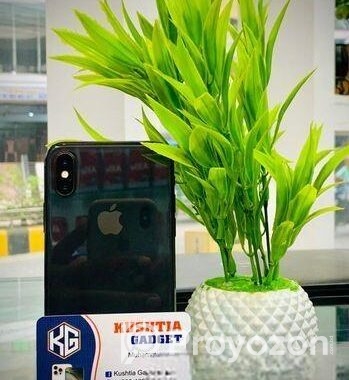 Apple iPhone X 256 GB (Used)