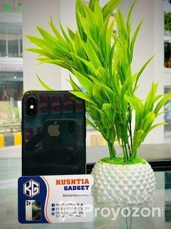 Apple iPhone X 256 GB (Used)