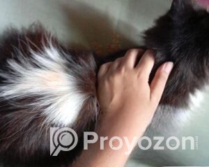 fitted-27_2025-10-25_10-35-26