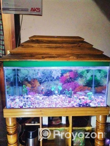 একুরিয়াম বিক্রি