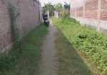 Land For Sell