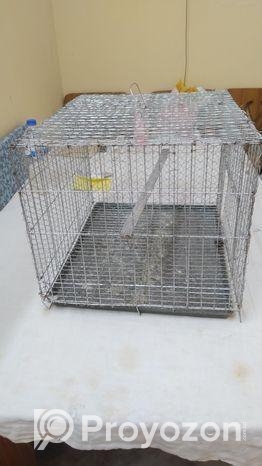 পাখির বড় খাঁচা