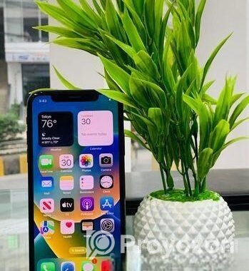 Apple iPhone X 256 GB (Used)