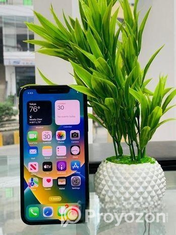 Apple iPhone X 256 GB (Used)