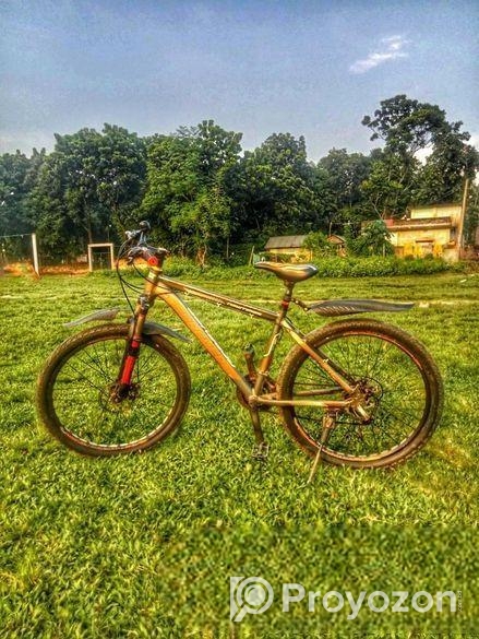 Forever সাইকেল