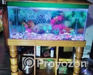 fitted-28_2025-10-29_23-05-36