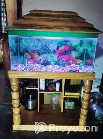 একুরিয়াম বিক্রি