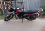 Dayun bike 2020