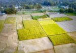 10 Bigha Industrial Land For Sale At Habigonj.