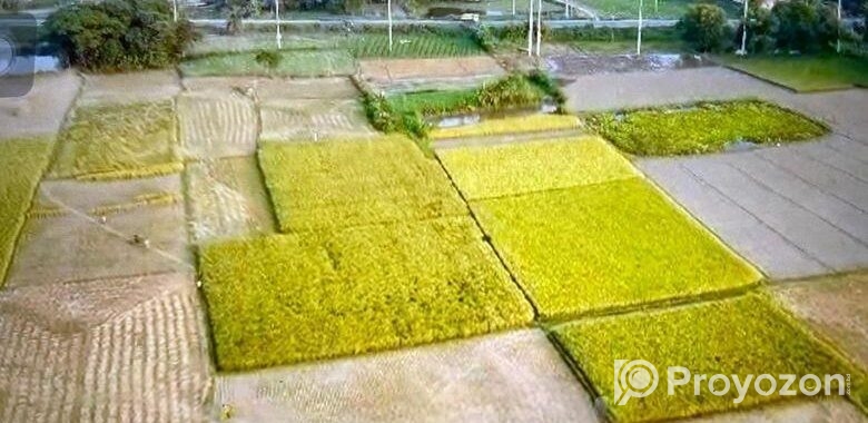 10 Bigha Industrial Land For Sale At Habigonj.