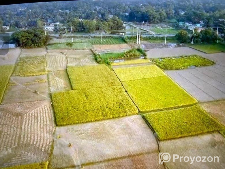 10 Bigha Industrial Land For Sale At Habigonj.