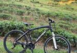 Mustang Bicycle