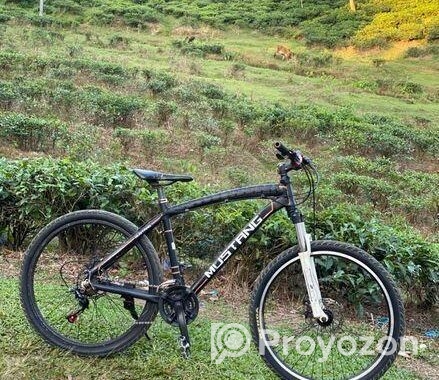 Mustang Bicycle
