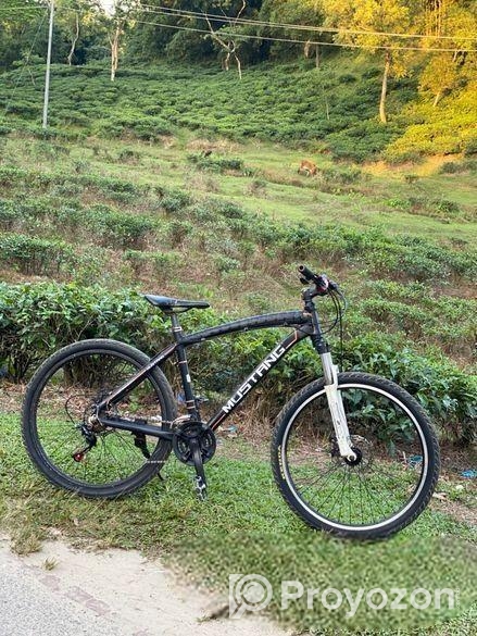 Mustang Bicycle