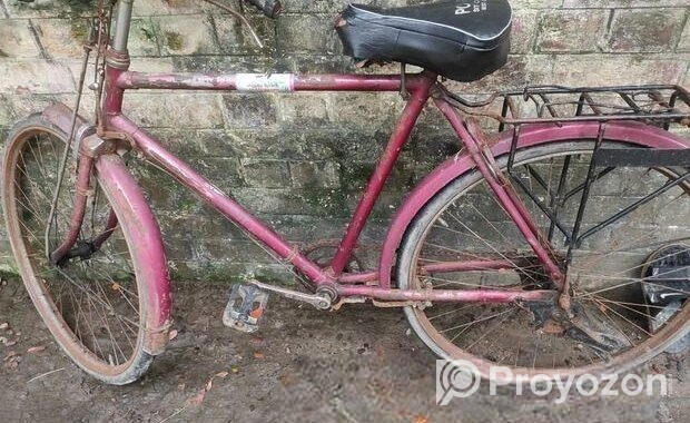 Bicycle for sale
