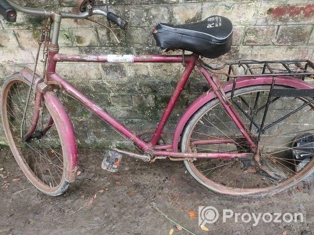 Bicycle for sale