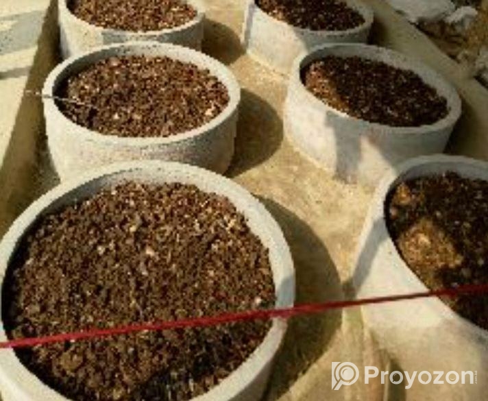 ভার্মি কম্পোস্ট ১ কেজি প্যাক