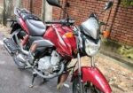 Suzuki GSX 125 2024