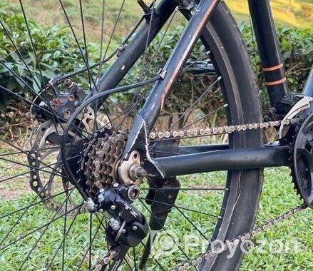 Mustang Bicycle