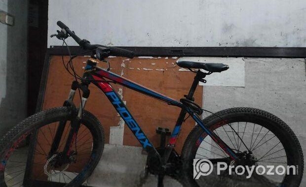 Phoenix Bicycle