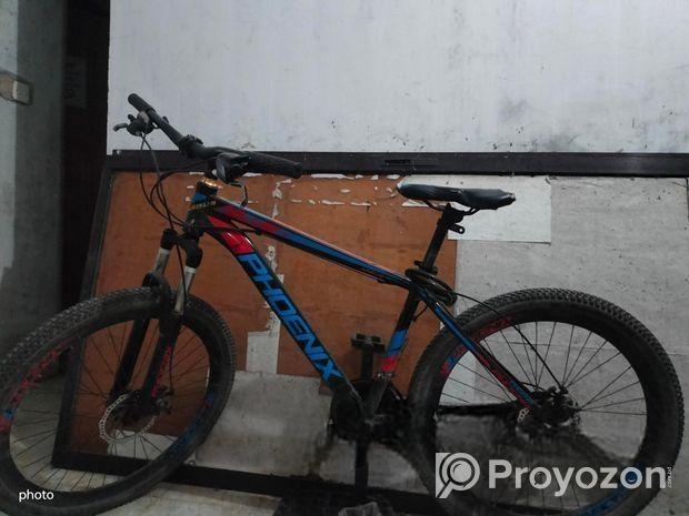 Phoenix Bicycle