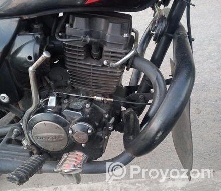 Dayun bike 2020
