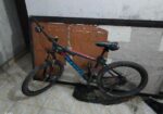 Phoenix Bicycle