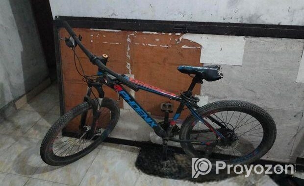 Phoenix Bicycle